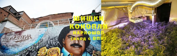 бошки Алзамай