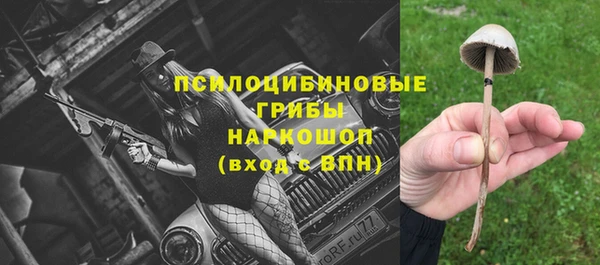 a pvp Алексеевка