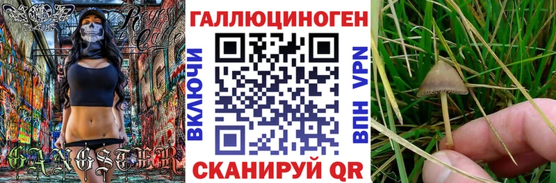 Псилоцибиновые грибы мицелий  закладки  MEGA ссылка  Медынь 